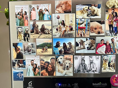 Why Photo Magnets Are the Cutest Way to Freeze Time