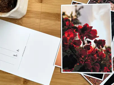 Mini Memories: Why Postcards Make Surprisingly Emotional Gifts