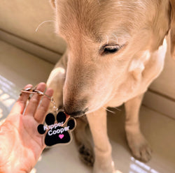Custom Paw Keychain