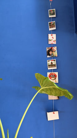 Magnetic Photo Rope